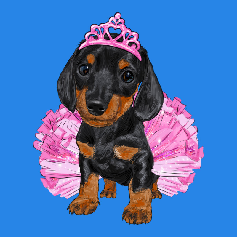 Balerina Dachshund With Tutu Premium Hoodie by RanaPortraitStore | Teevron