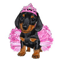 Balerina Dachshund With Tutu | Teevron