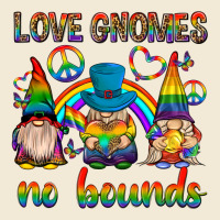 Pride Gnomies Premium Hoodie | Teevron