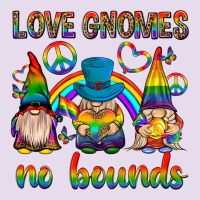Pride Gnomies Premium Hoodie | Teevron