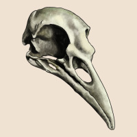 Raven Skull Urban Hoodie | Teevron