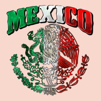 Mexico Coat Of Arms Urban Hoodie | Teevron