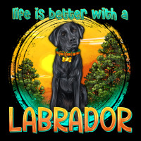 Life Is Better With A Labrador Urban Hoodie | Teevron