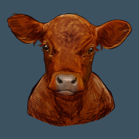 Red Angus Calf Urban Hoodie | Teevron