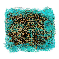 leopard turquoise | Teevron