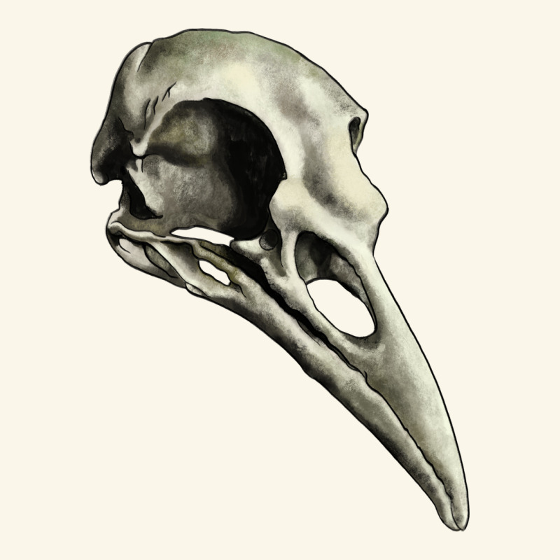 Raven Skull Premium Hoodie by RanaPortraitStore | Teevron
