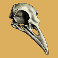 Raven Skull Premium Hoodie | Teevron