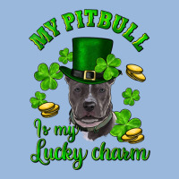 St. Patrick's Day My Pitbull Is My Lucky Charm With Hat Premium Hoodie | Teevron