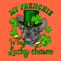 St.patrick's Day My French Bulldog Is My Lucky Charm Premium Hoodie | Teevron