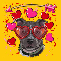 Valentine's Day  Pitbull Premium Hoodie | Teevron