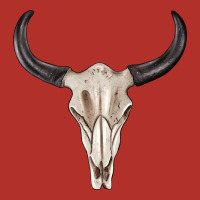 Western Bull Skull Tbw Premium Hoodie | Teevron