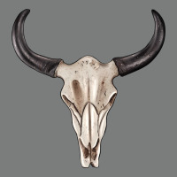 Western Bull Skull Tbw Premium Hoodie | Teevron