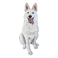 Hand Drawing White Shepherd | Teevron
