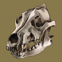 Wolf Skull Premium Hoodie | Teevron
