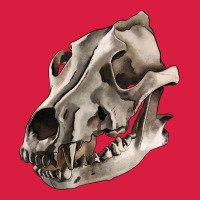 Wolf Skull Premium Hoodie | Teevron