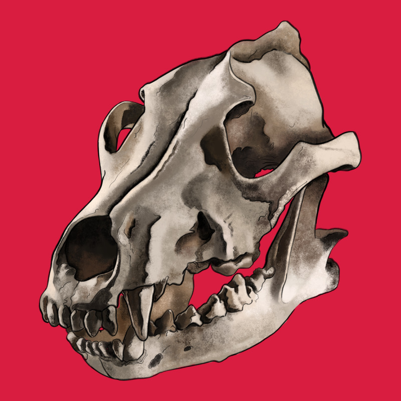 Wolf Skull Premium Hoodie by RanaPortraitStore | Teevron