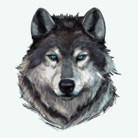 Wolf Premium Hoodie | Teevron