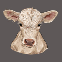 Charolais Calf Premium Hoodie | Teevron