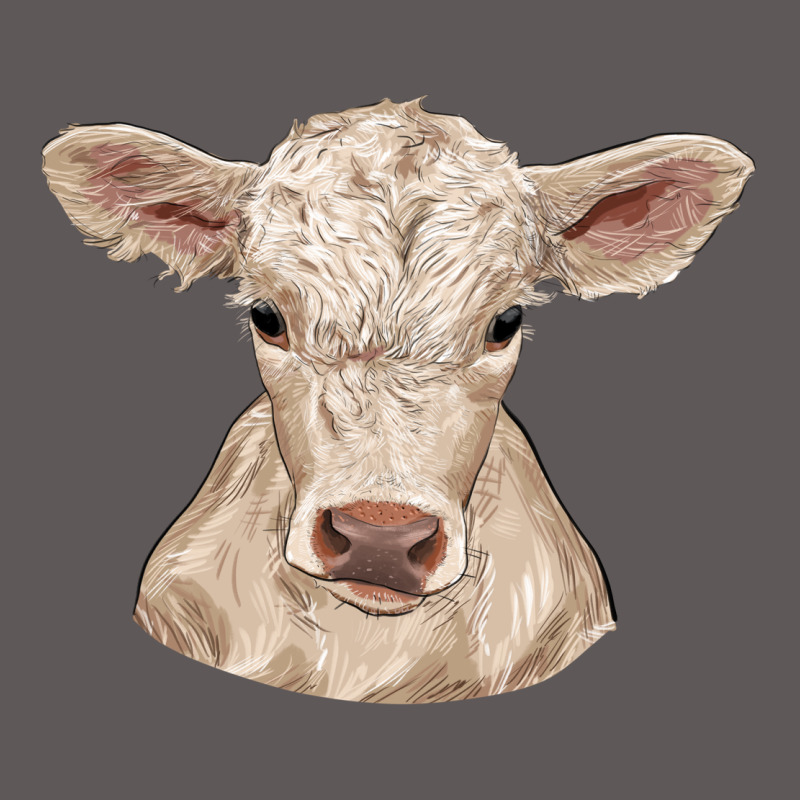 Charolais Calf Premium Hoodie by RanaPortraitStore | Teevron