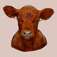 Red Angus Calf Premium Hoodie | Teevron