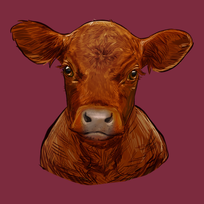 Red Angus Calf Premium Hoodie by RanaPortraitStore | Teevron