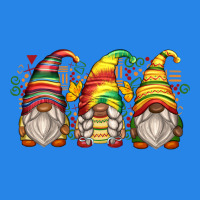 Juneteenth Gnomes Premium Hoodie | Teevron