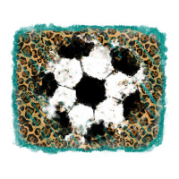 glitter soccer leopard | Teevron