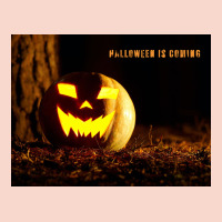 Halloween Is Coming Urban Hoodie | Teevron