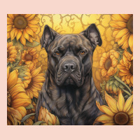 Cane Corso Urban Hoodie | Teevron