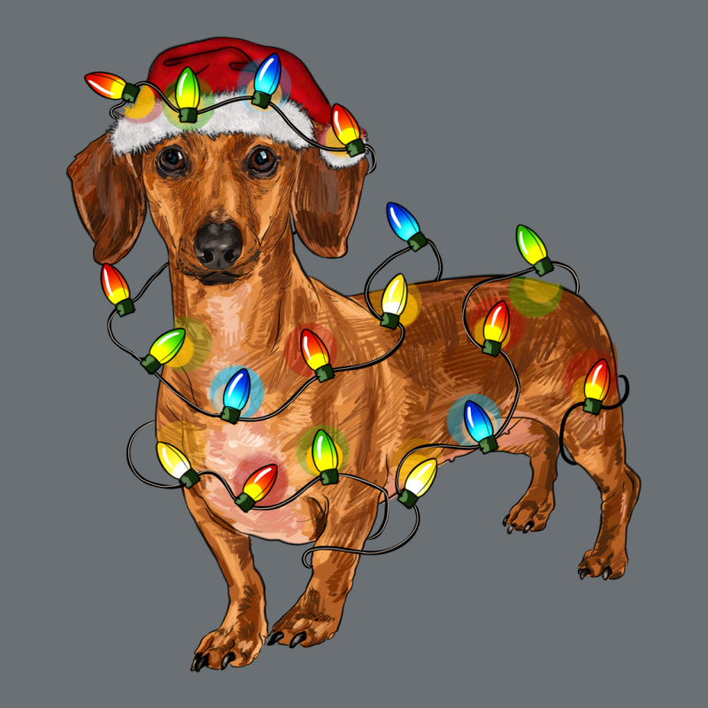Dachshund Christmas Lights Premium Hoodie by RanaPortraitStore | Teevron
