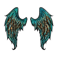 turquoise leopard wings | Teevron