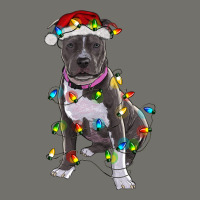 Pitbull With Christmas Lights Premium Hoodie | Teevron