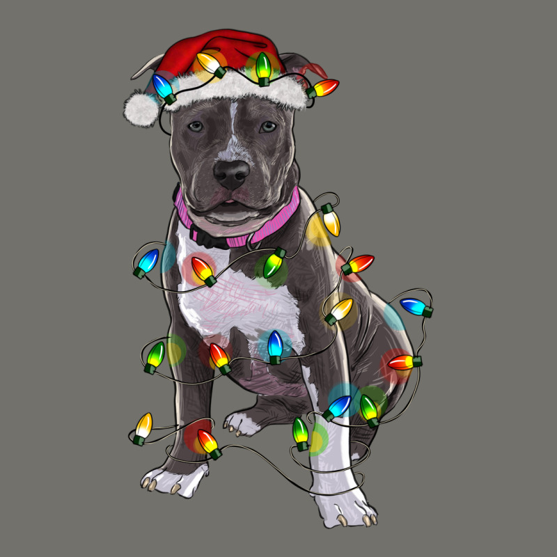 Pitbull With Christmas Lights Premium Hoodie by RanaPortraitStore | Teevron
