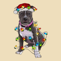 Pitbull With Christmas Lights Premium Hoodie | Teevron