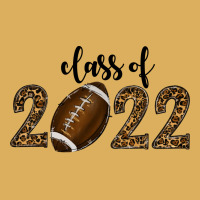 Class Of 2022 American Football Premium Hoodie | Teevron