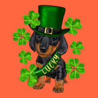 St. Patricks Day Lucky Dachshund Puppy Premium Hoodie | Teevron