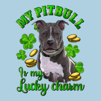 St Patricks Day My Pitbuli My Lucky Charm Premium Hoodie | Teevron
