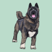 American Akita Premium Hoodie | Teevron