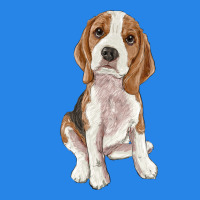 Beagle Premium Hoodie | Teevron