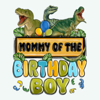 Mommy Of The Birthday Boy Premium Hoodie | Teevron