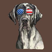 Great Dane Sunglasses American Usa Flag 4th Of July Fourth T Shirt Classic Tee | Teevron