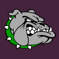 Ashville High School, Ashville Bulldogs Classic Tee | Teevron