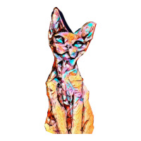 Colorful Cat | Teevron