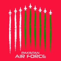 Pakistan Air Force Shirt   Pakistani Flag Men Women Kids T Shirt Classic Tee | Teevron