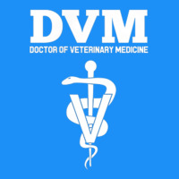 Doctor Of Veterinary Medicine Dvm Veterinarian Vet Tech Classic Tee | Teevron