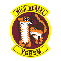 Air Force Wild Weasel YGBSM | Teevron
