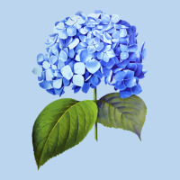 Blue  Hydrangea Classic Tee | Teevron