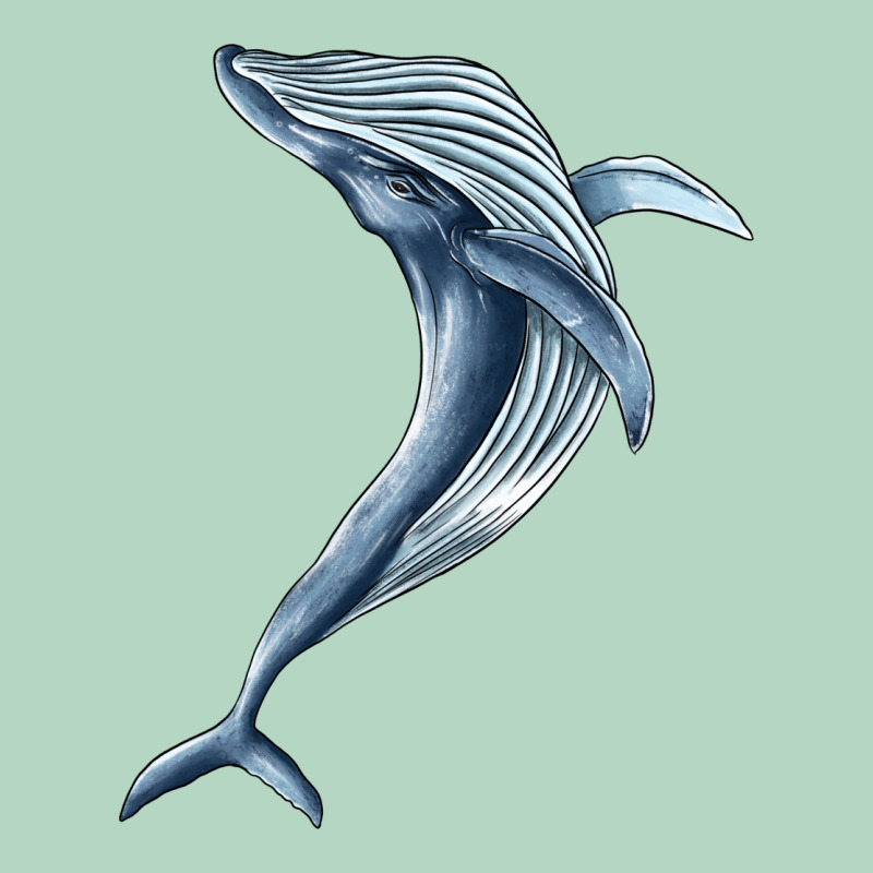 Humpback Whale Jumping Classic Tee by BarkalooDesign | Teevron