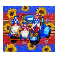 American Flag Gnomes Truck Sunflowers Star Leopard Glitter Ladies Tee | Teevron
