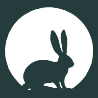 Bunny And Full Moon Funny Classic Tee | Teevron